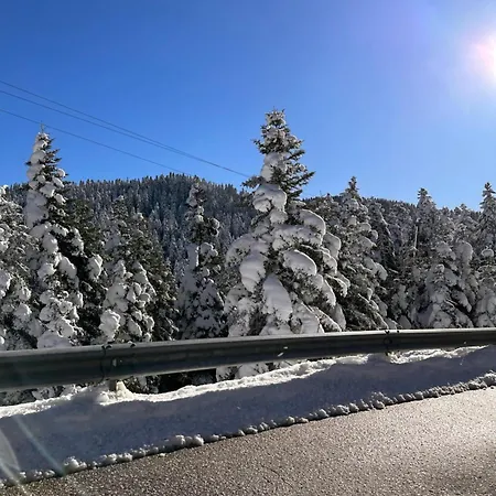 Mansion アパート *