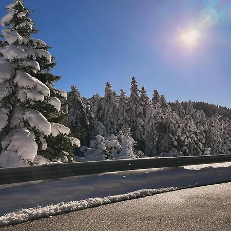 アパート Mansion