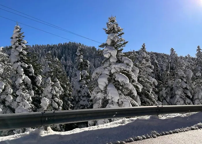 Mansion Apartament *